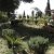 KIF_2792_1206769971