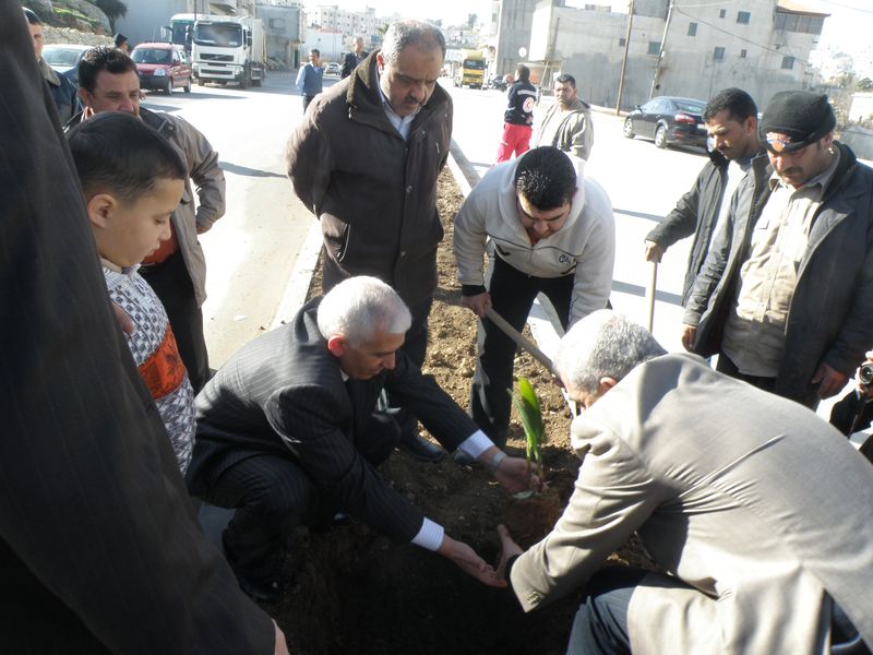حملة وطنية لزراعة الاشجار في مدينة حلحول