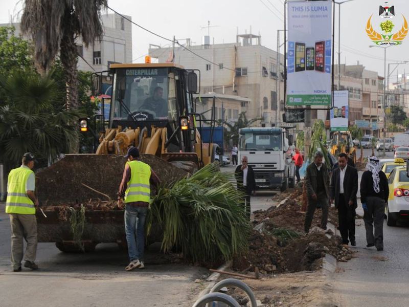 الانتهاء من مشروعي زراعة أشجار النخيل في الشارع الرئيسي وترميم مدخل زبود