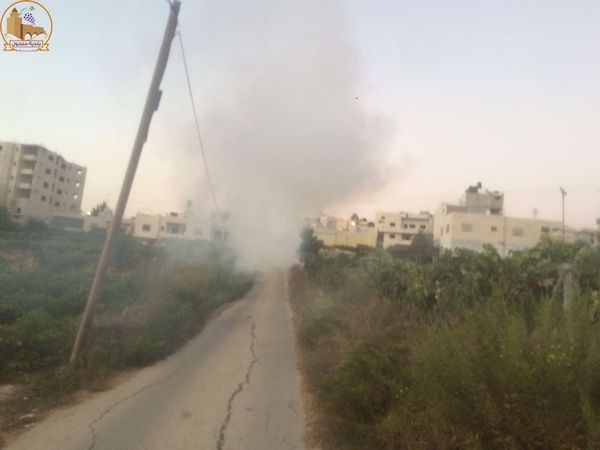 بلدية حلحول تباشر تنفيذ حملة لمكافحة الحشرات والبعوض في المدينة