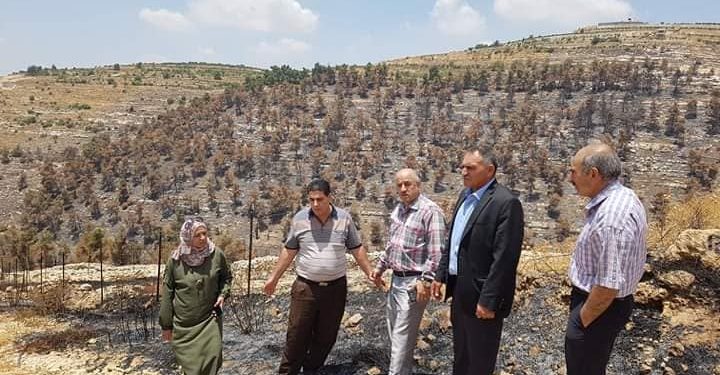 بلدية حلحول تتفقد مناطق الحرائق في المدينة