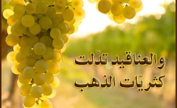 والعناقيد تدّلت |  مهرجان العنب الفلسطيني – 2019