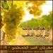 والعناقيد تدّلت |  مهرجان العنب الفلسطيني – 2019