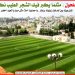 حلحول / مثلما يكبر فيك الشجر الطيب نكبر